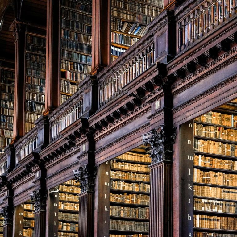 Historische Bibliothek mit hohen dunklen Holzregalen voller Bücher.